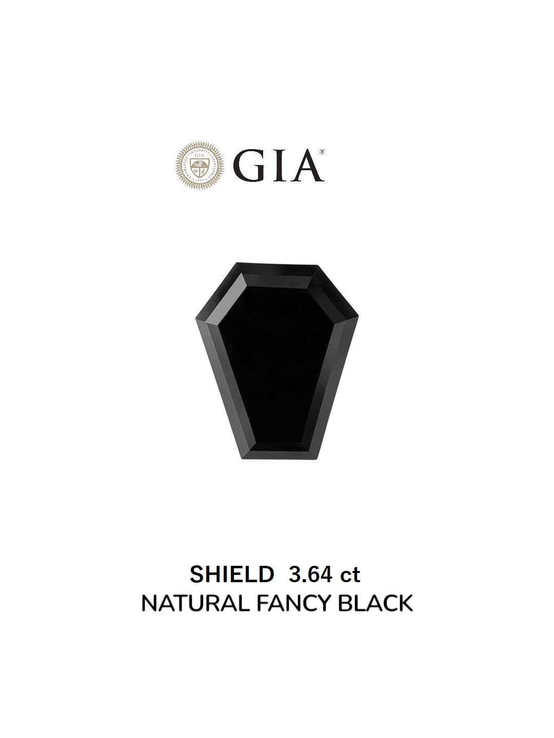 GIA 3.64 Carat Natural Fancy Black Shield Diamond SE-8890GN