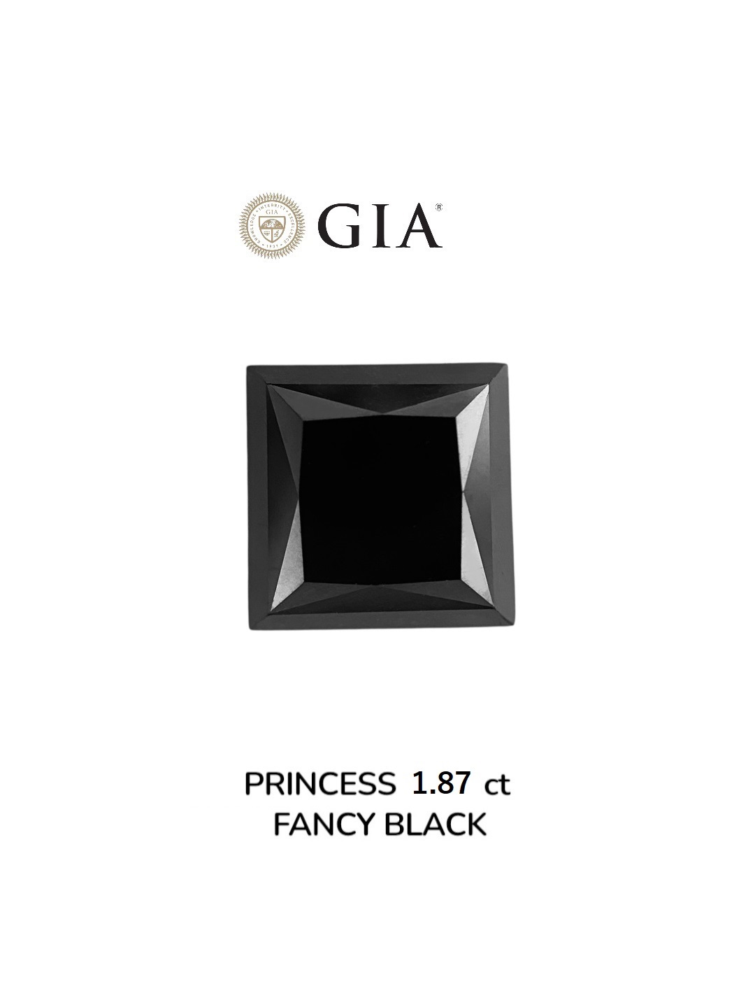 GIA 1.87 Carat Natural Fancy Black Princess Diamond SE-8892GT