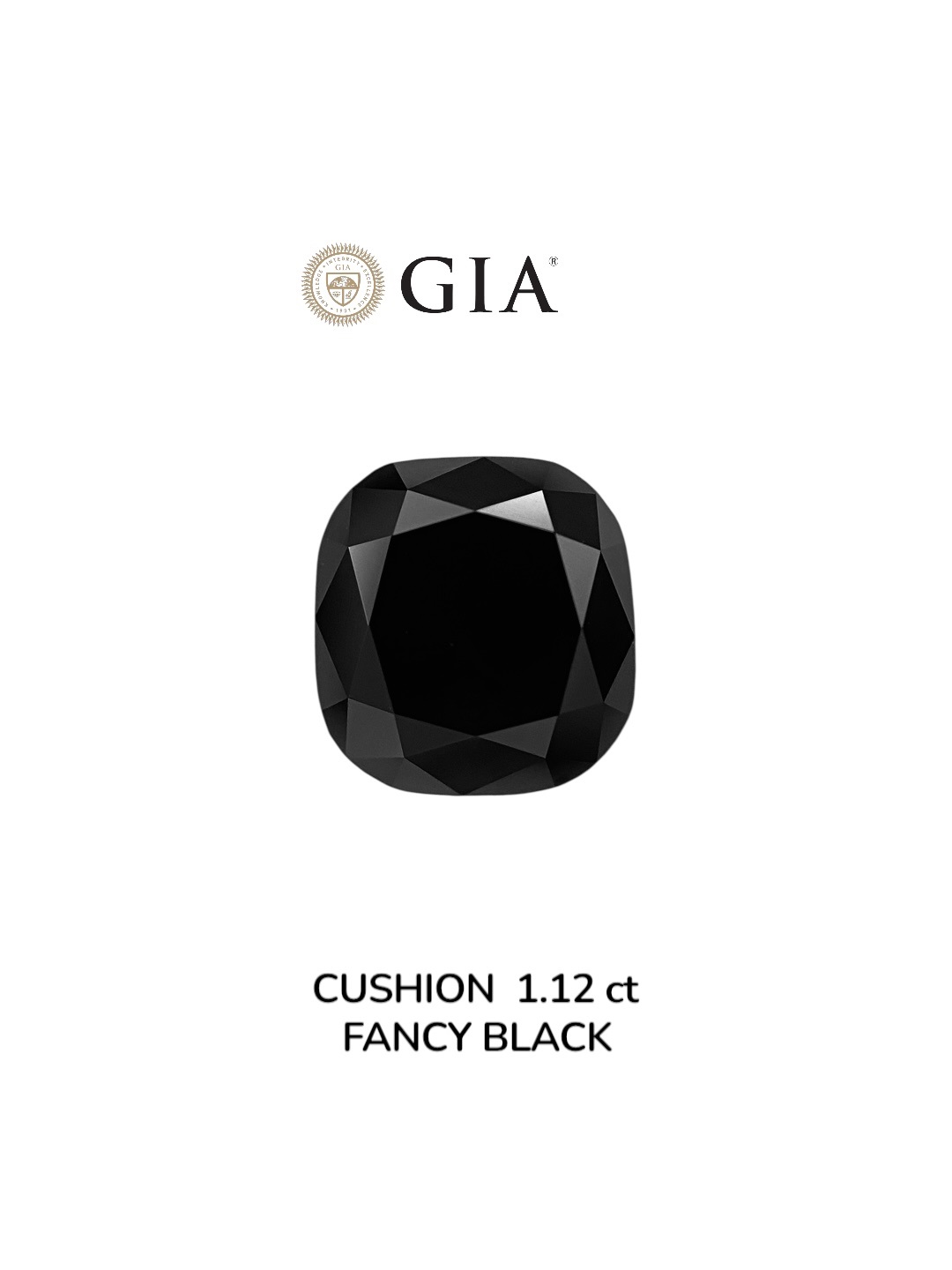 IGI 1.12 Carat Natural Fancy Black Cushion Diamond SE-8902IN