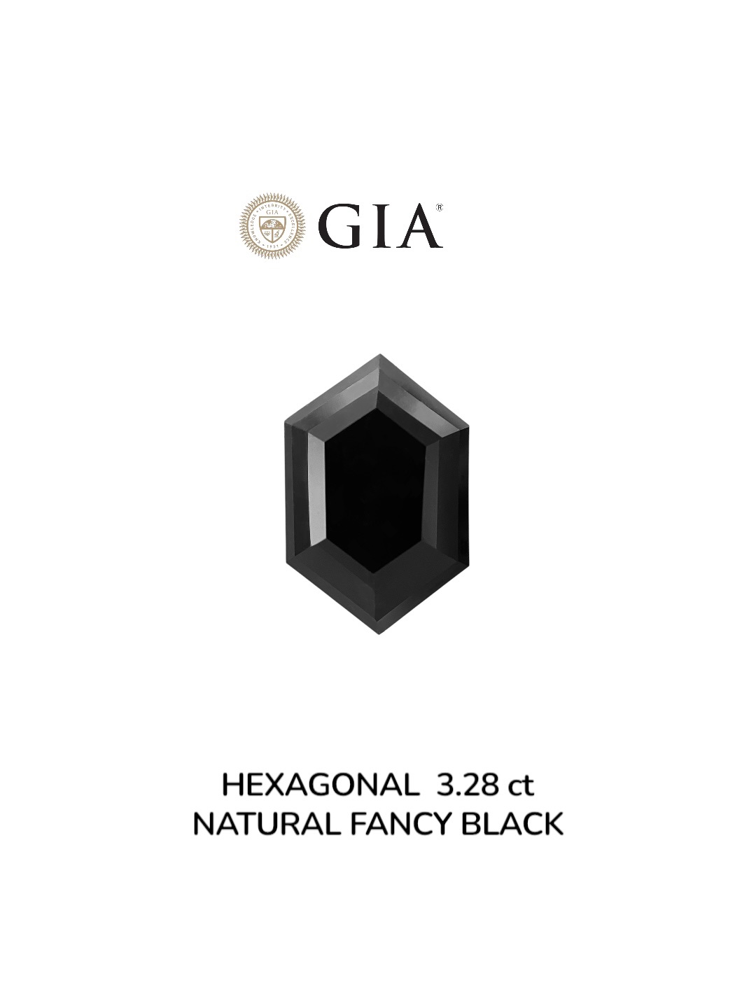 GIA 3.28 Carat Natural Fancy Black Hexagonal Diamond SE-8903GN