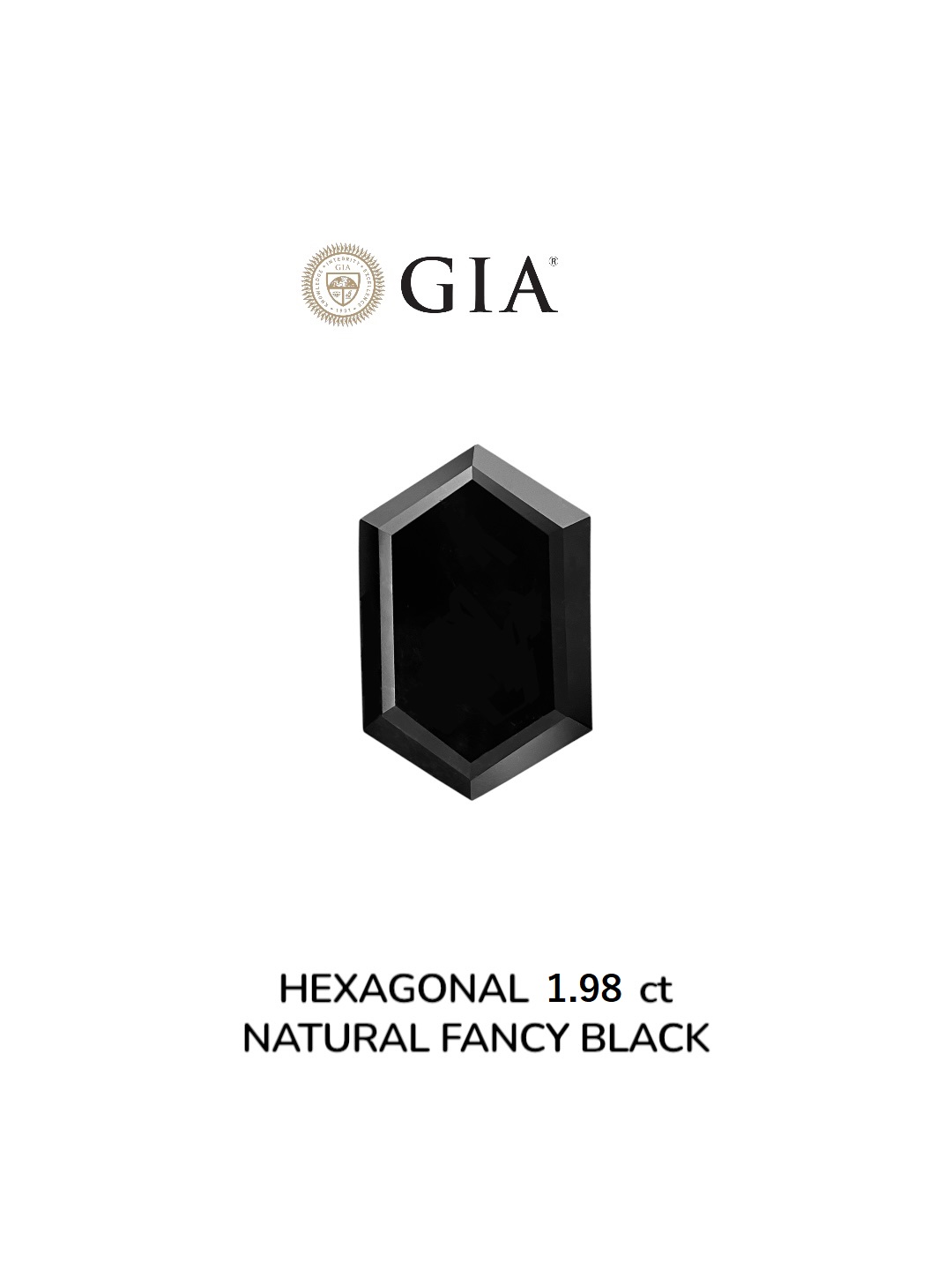 GIA 1.98 Carat Natural Fancy Black Hexagonal Diamond SE-8904GN