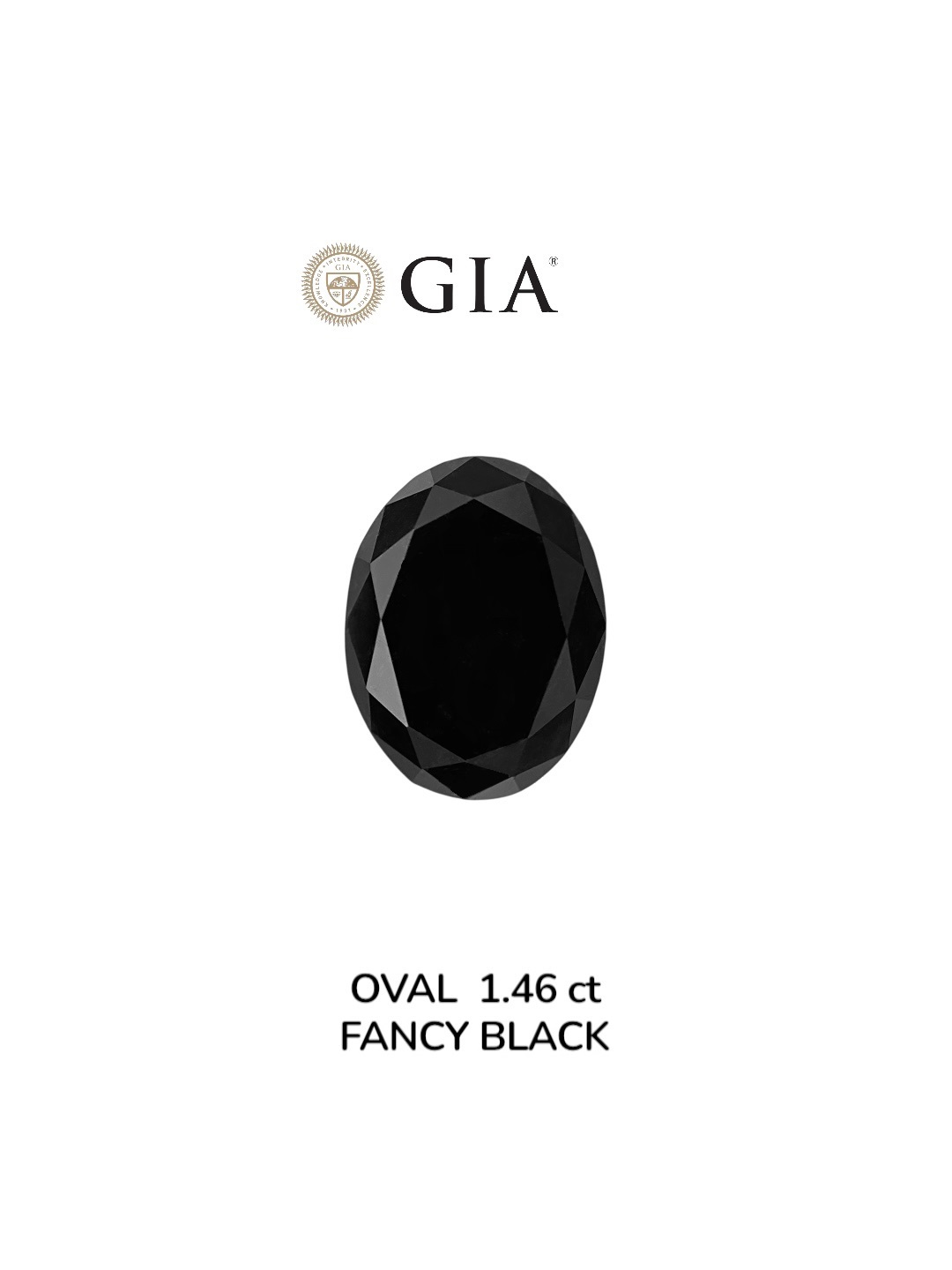 IGI 1.46 Carat Natural Fancy Black Oval Diamond SE-8908IN