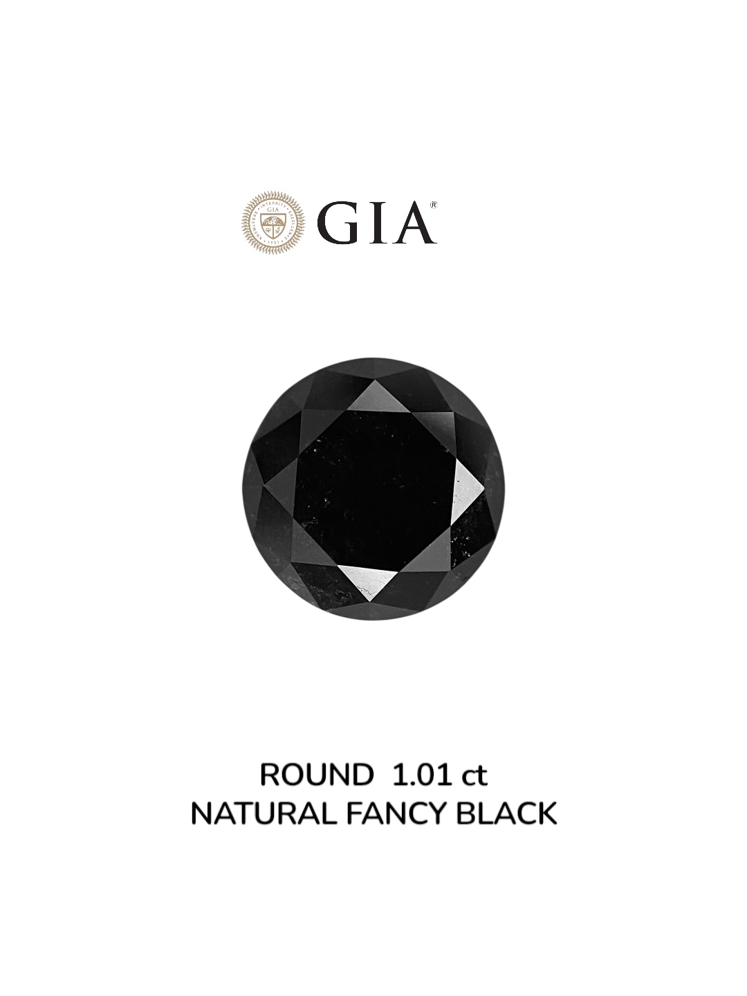 GIA 1.01 Carat Natural Fancy Black Round Diamond SE-8916GN
