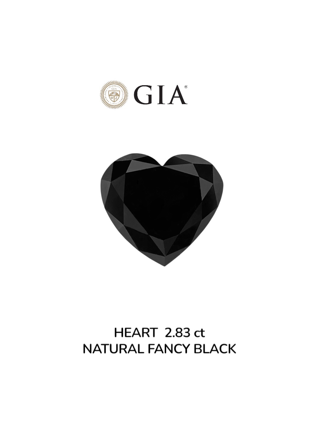 GIA 2.83 Carat Natural Fancy Black Heart Diamond SE-8923GN