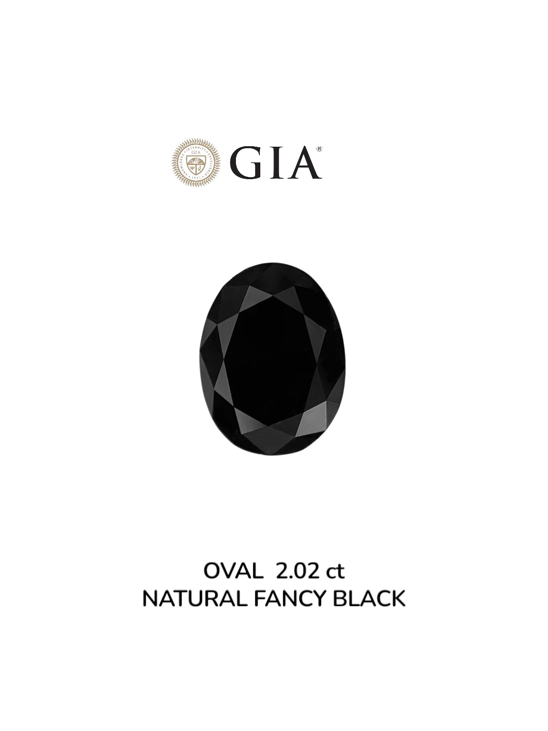 GIA 2.02 Carat Natural Fancy Black Oval Diamond SE-8925GN