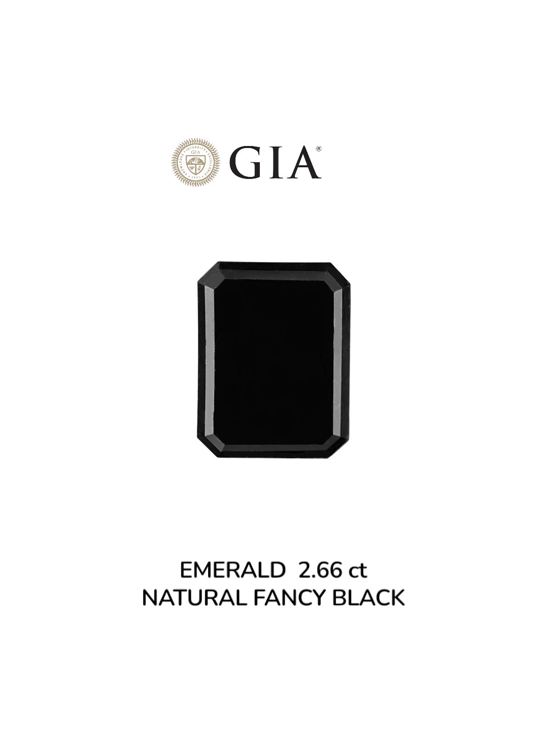 GIA 2.66 Carat Natural Fancy Black Emerald Diamond SE-8928GN