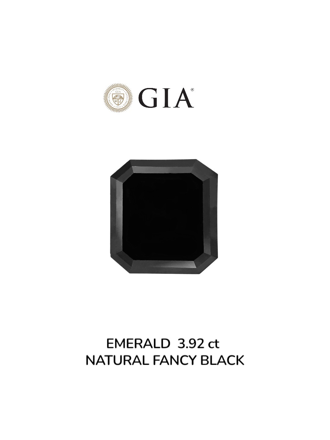 GIA 3.92 Carat Natural Fancy Black Sq emerald Diamond SE-8930GNN