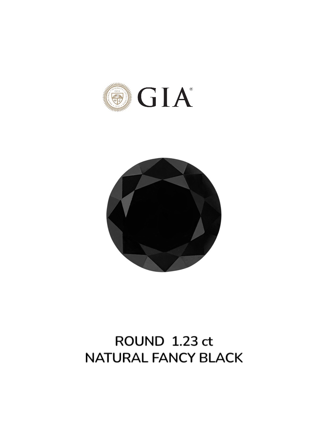 GIA 1.23 Carat Natural Fancy Black Round Diamond SE-8932GN