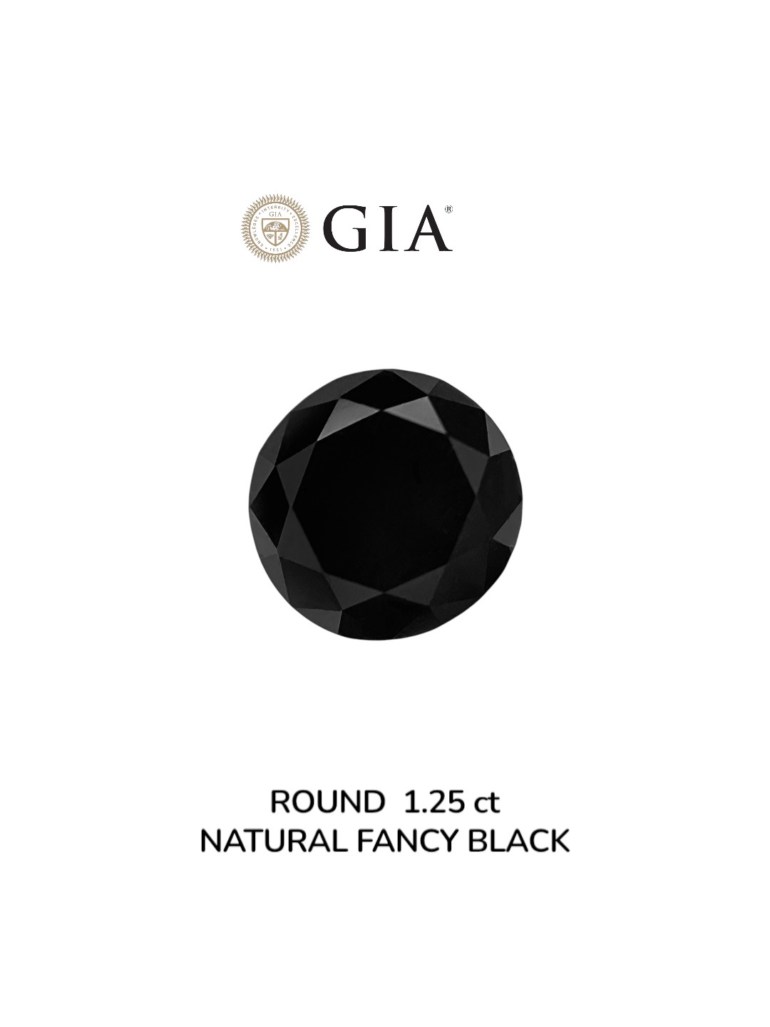 GIA 1.25 Carat Natural Fancy Black Round Diamond SE-8934GN