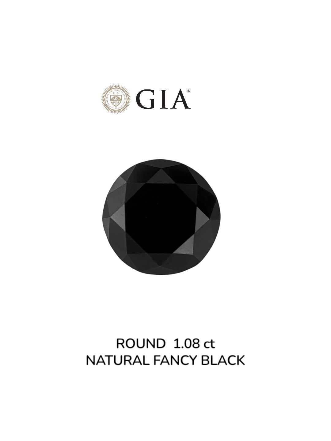 GIA 1.08 Carat Natural Fancy Black Round Diamond SE-8942GN