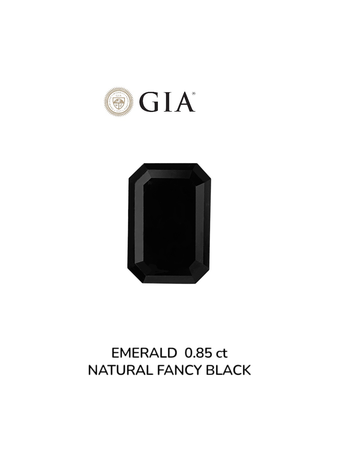 GIA 0.85 Carat Natural Fancy Black Emerald Diamond SE-8952GN