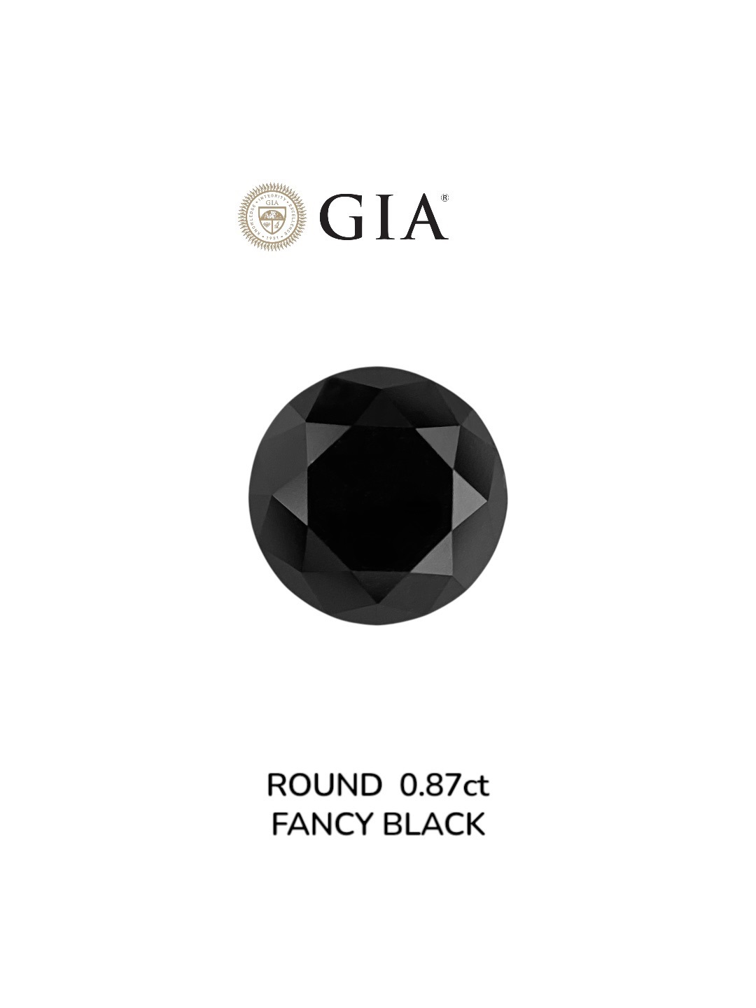 IGI 0.87 Carat Natural Fancy Black Round Diamond SE-8963IN