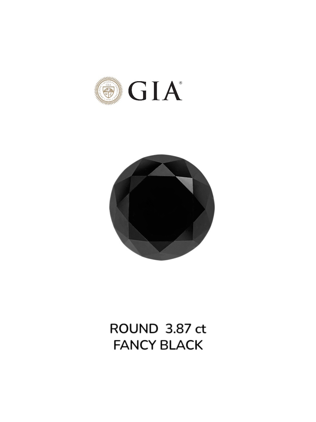 IGI 3.87 Carat Natural Fancy Black Round Diamond SE-8997IN