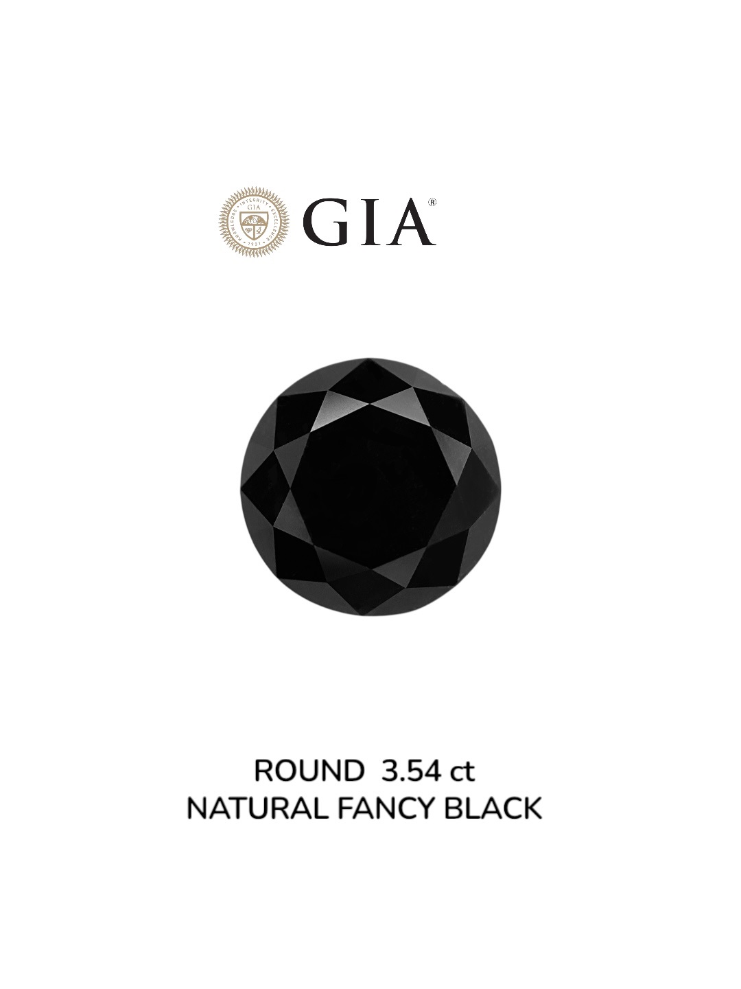 GIA 3.54 Carat Natural Fancy Black Round Diamond SE-8999GN