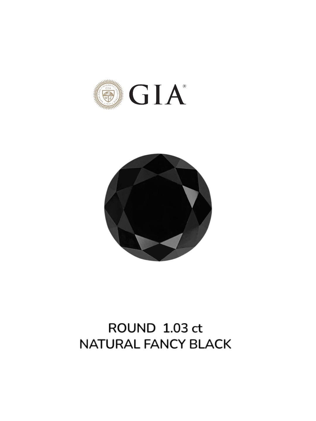 GIA 1.03 Carat Natural Fancy Black Round Diamond SE-9007GN