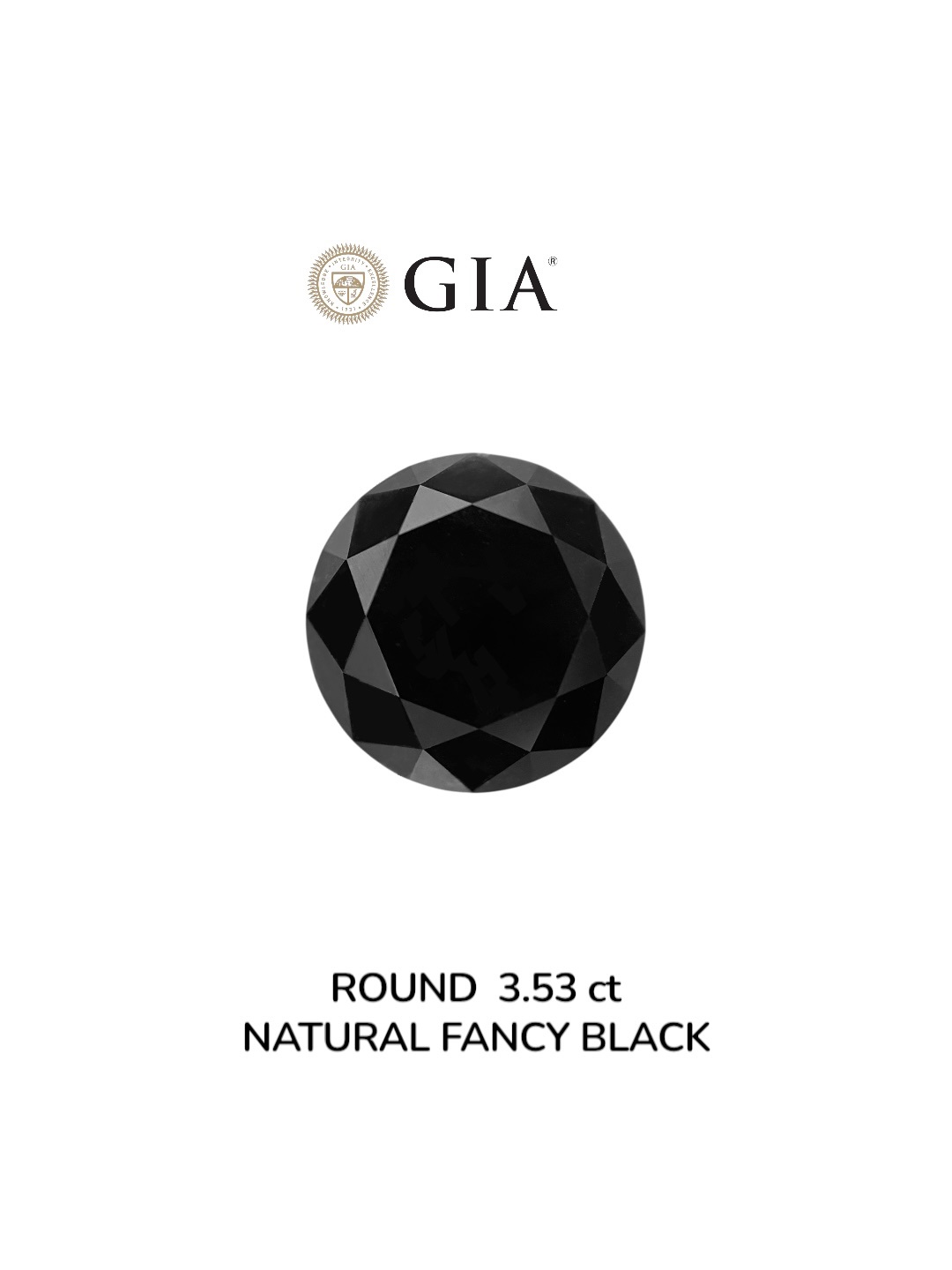 GIA 3.53 Carat Natural Fancy Black Round Diamond SE-9008GN