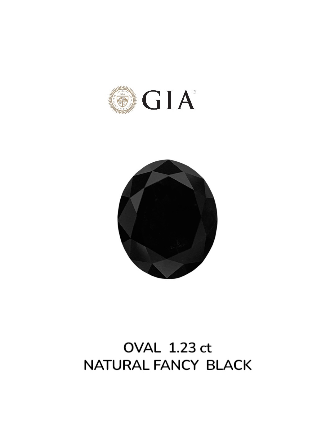 GIA 1.23 Carat Natural Fancy Black Oval Diamond SE-9009GN
