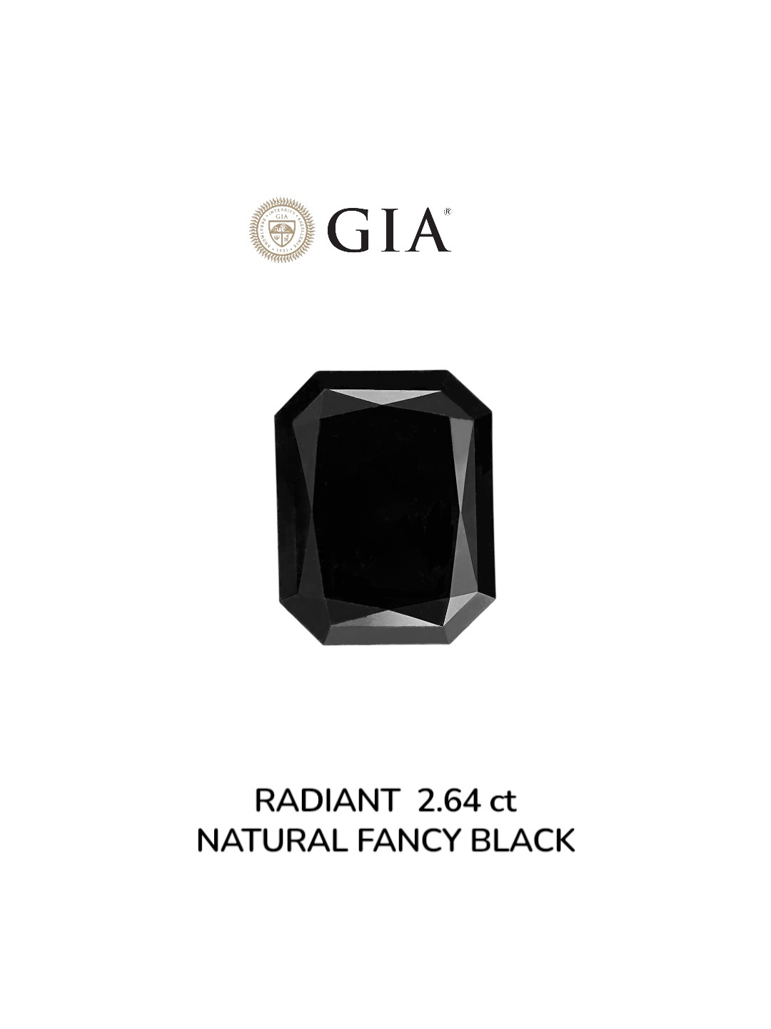 GIA 2.64 Carat Natural Fancy Black Radiant Diamond SE-9013GN