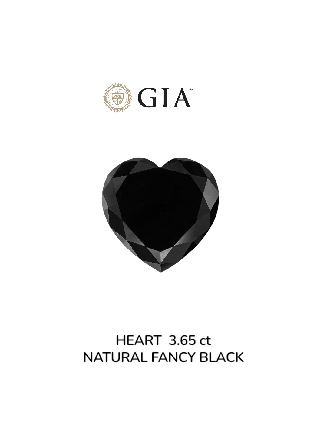 GIA 3.65 Carat Natural Fancy Black Heart Diamond SE-9020GN