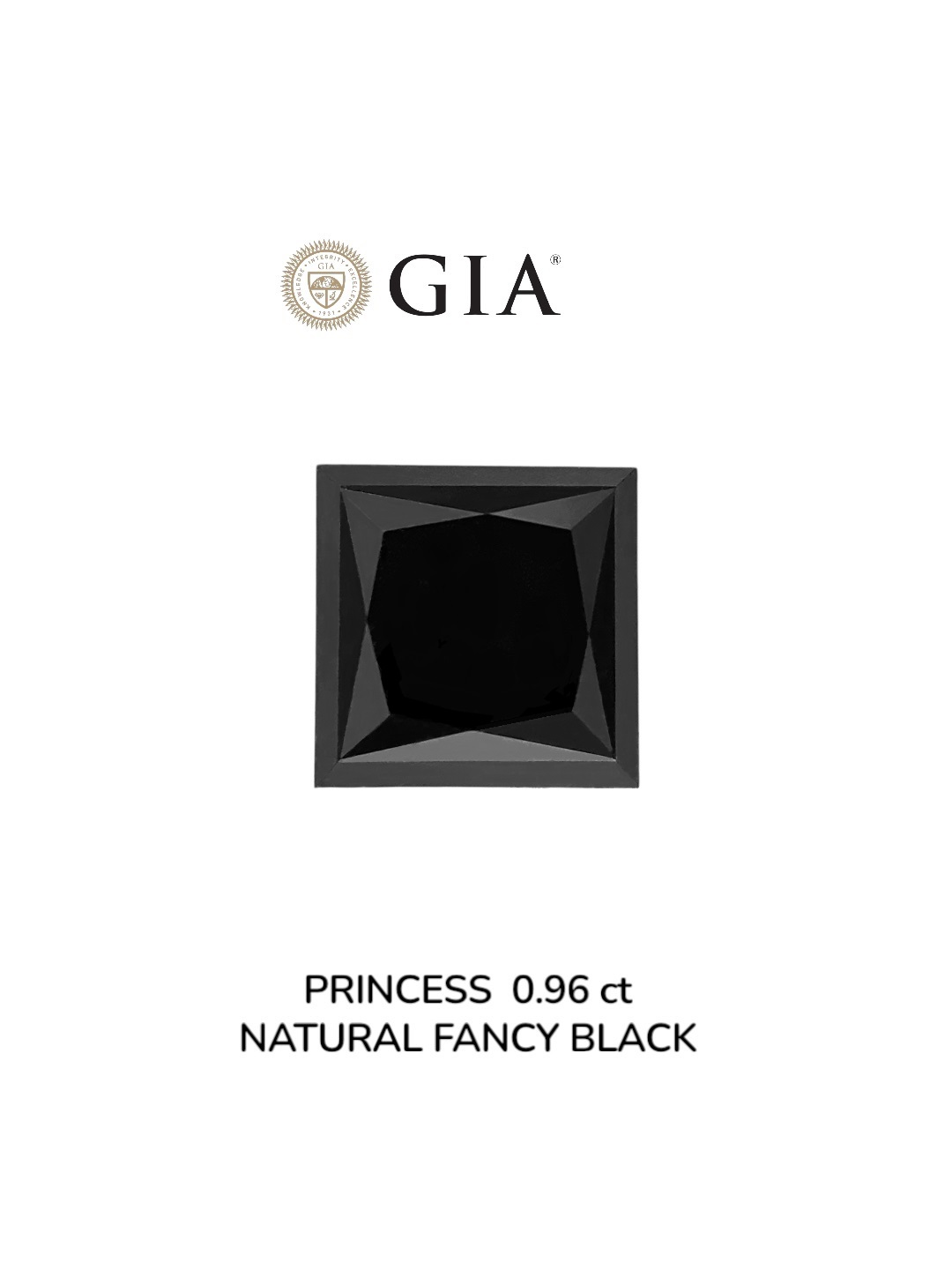 GIA 0.96 Carat Natural Fancy Black Princess Diamond SE-9033GN