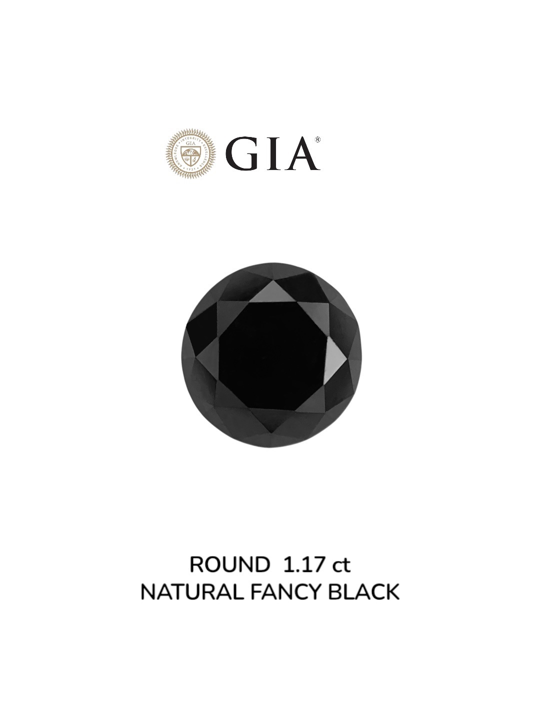 GIA 1.17 Carat Natural Fancy Black Round Diamond SE-9037GN