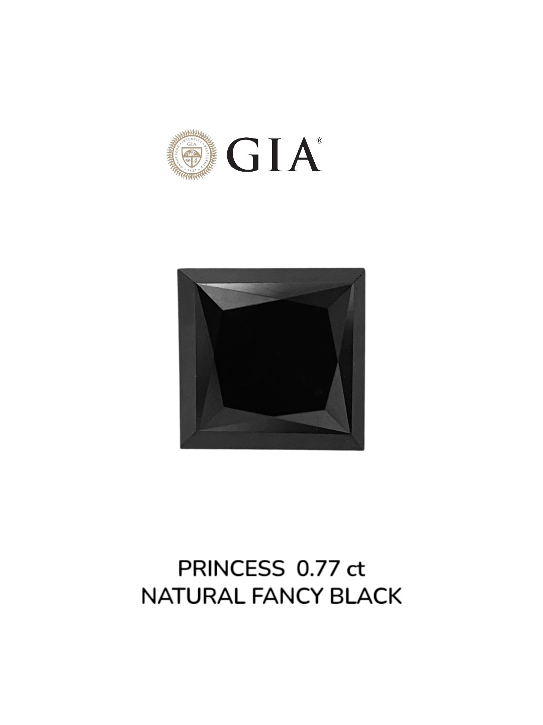 GIA 0.77 Carat Natural Fancy Black Princess Diamond SE-9038GN