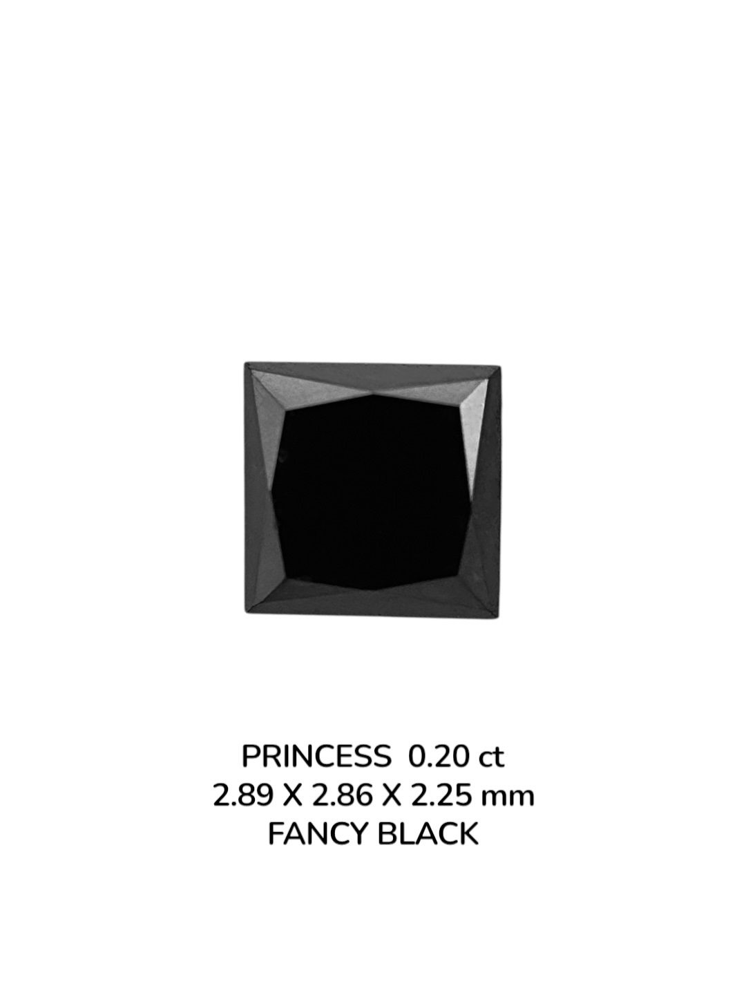 0.20 Carat Natural Fancy Black Princess Diamond SE-9077T8