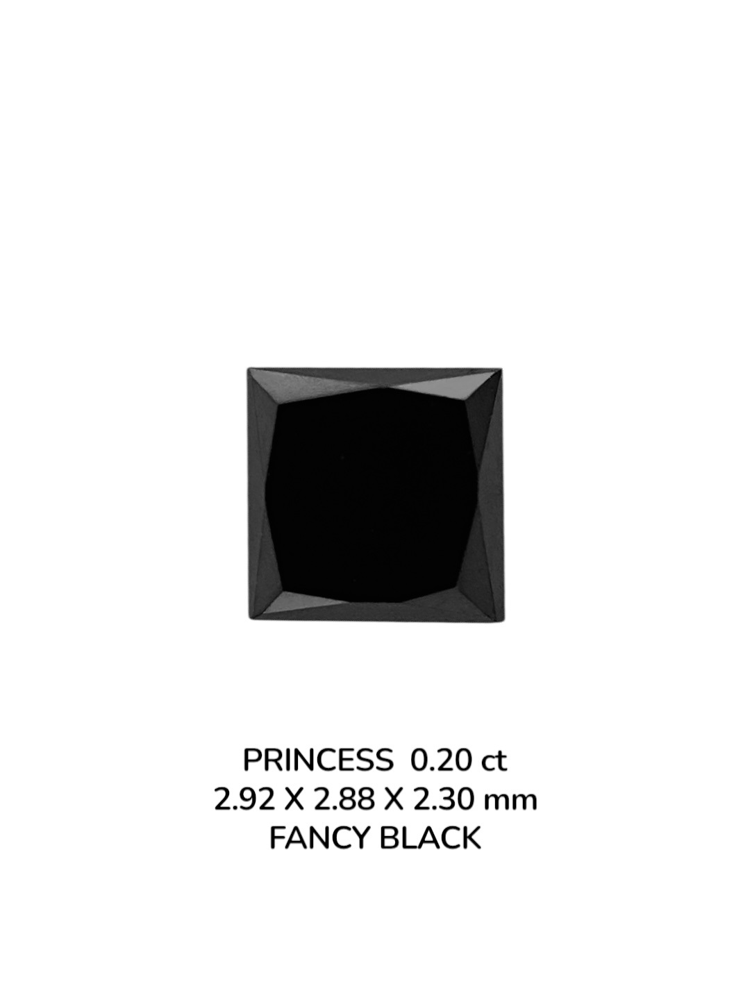 0.20 Carat Natural Fancy Black Princess Diamond SE-9077T9