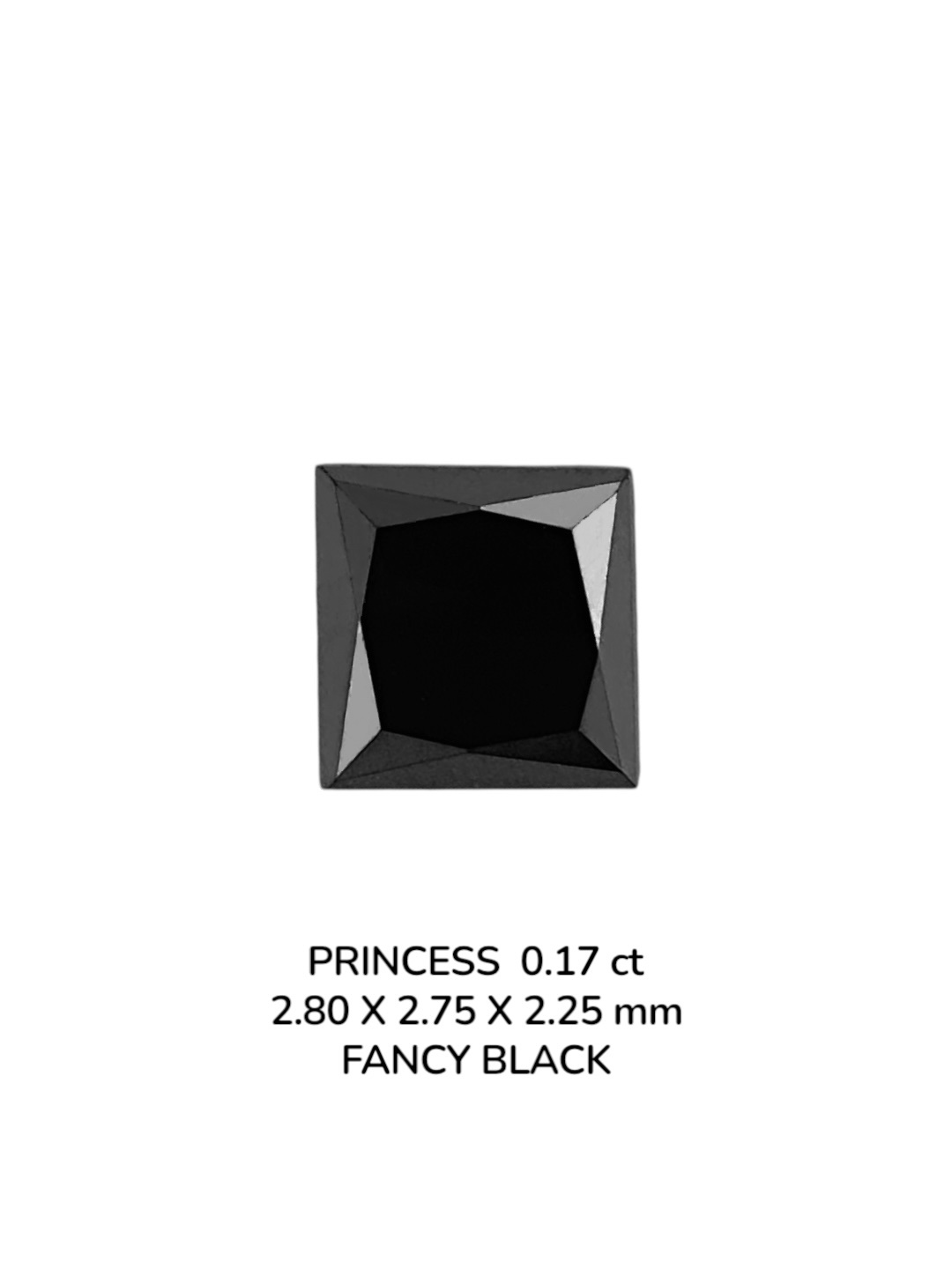 0.17 Carat Natural Fancy Black Princess Diamond SE-9077T14
