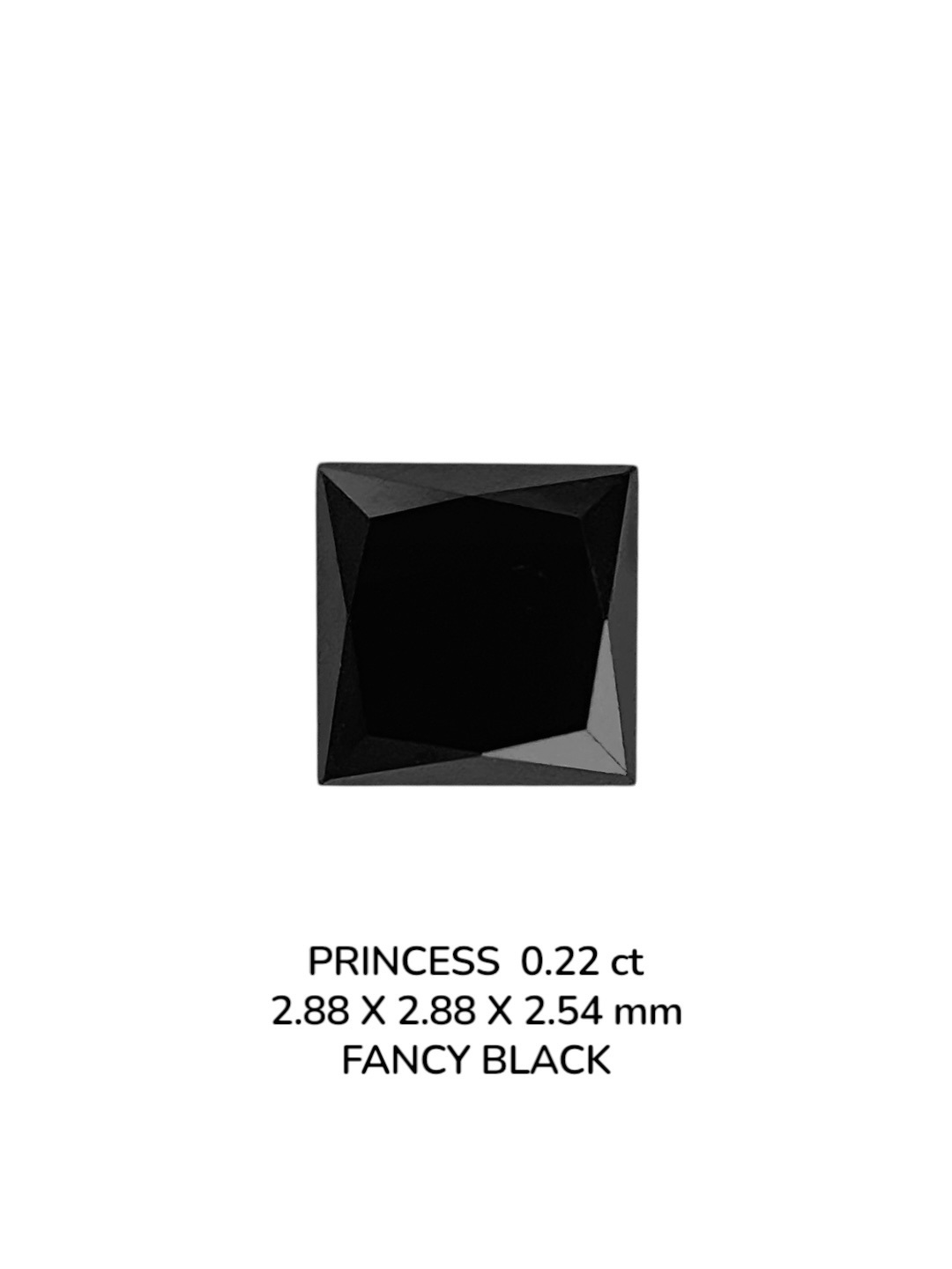 0.22 Carat Natural Fancy Black Princess Diamond SE-9077T17