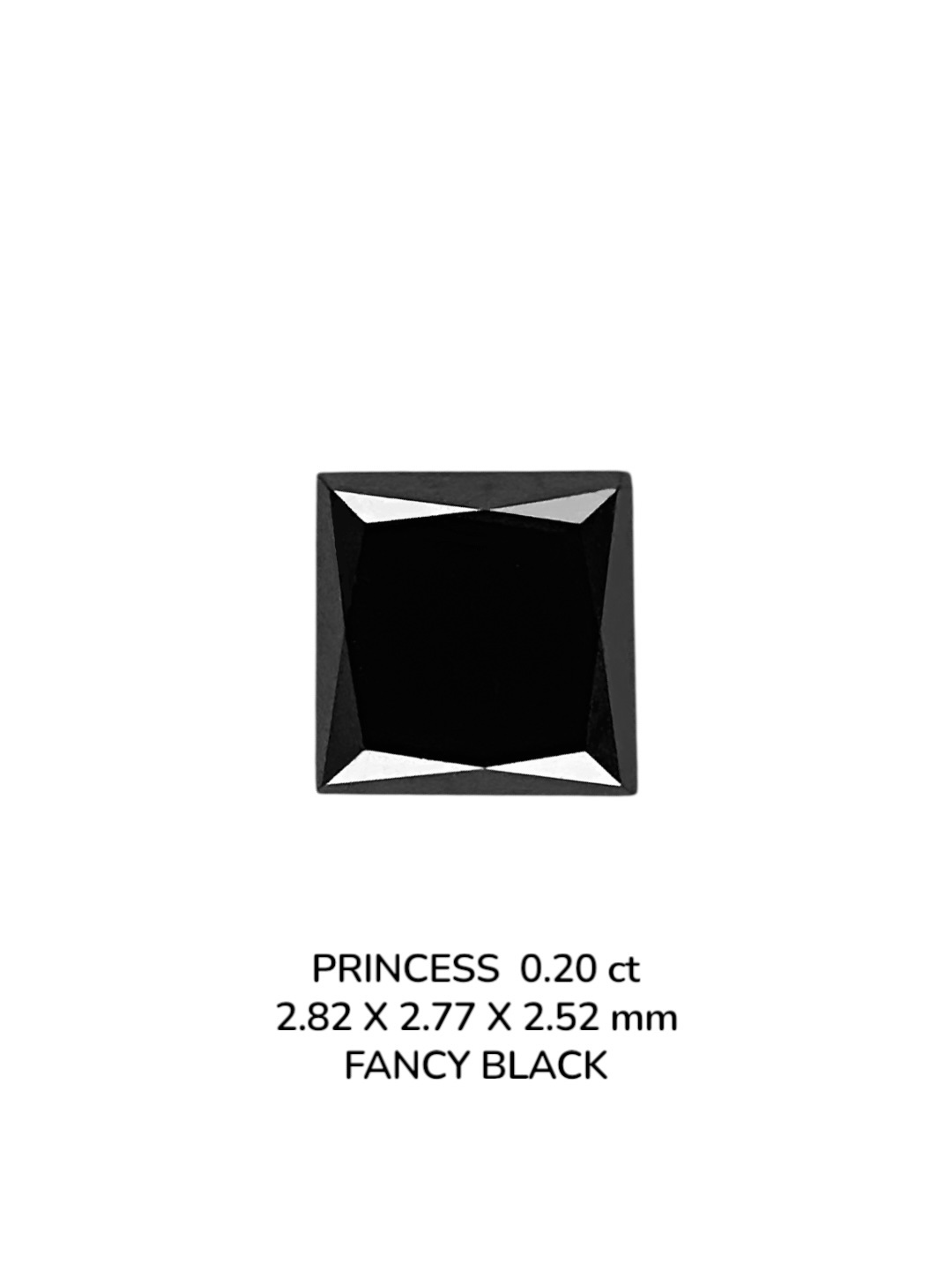 0.20 Carat Natural Fancy Black Princess Diamond SE-9077T22