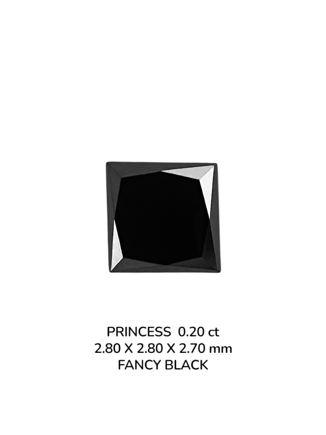 0.20 Carat Natural Fancy Black Princess Diamond SE-9077T25
