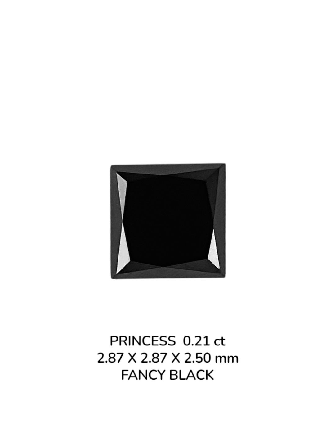 0.21 Carat Natural Fancy Black Princess Diamond SE-9077T30