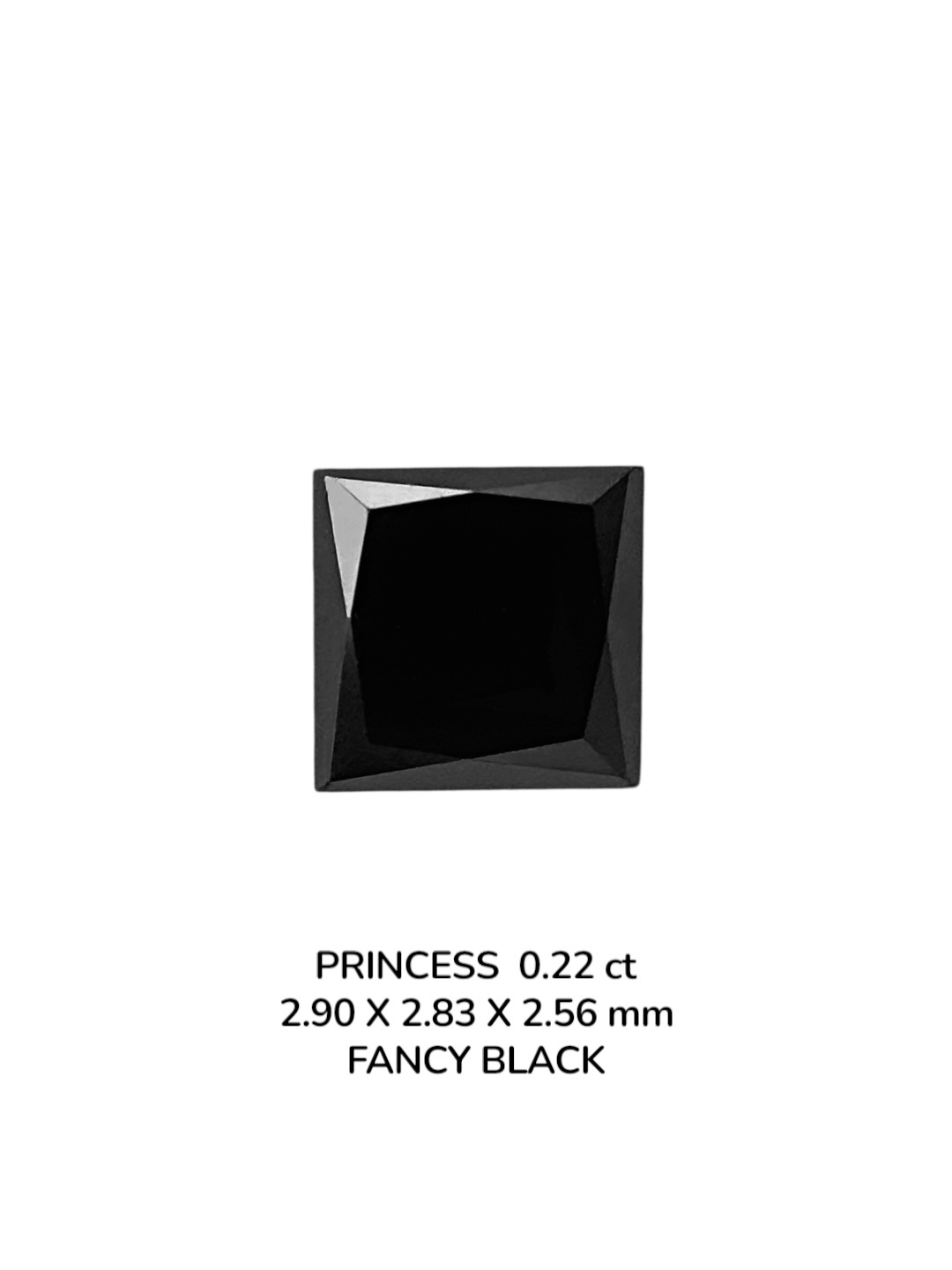 0.22 Carat Natural Fancy Black Princess Diamond SE-9077T42