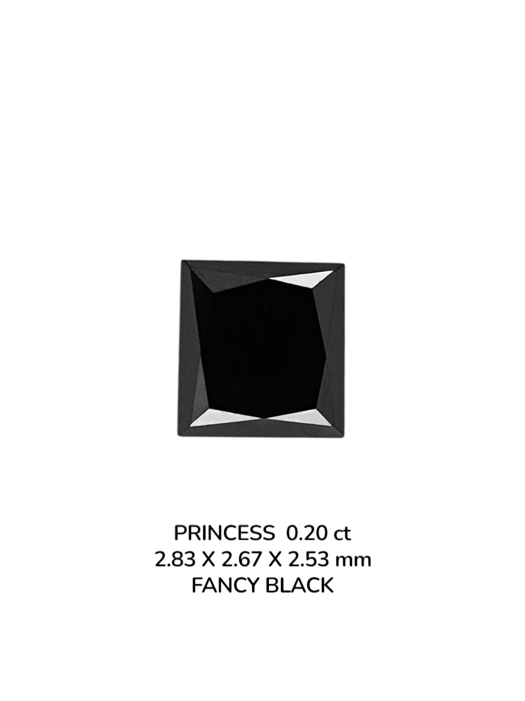 0.20 Carat Natural Fancy Black Princess Diamond SE-9077T46