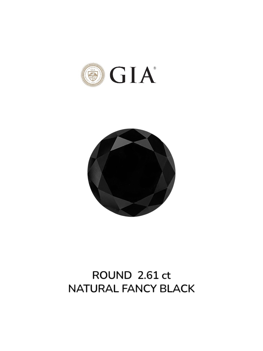 GIA 2.61 Carat Natural Fancy Black Round Diamond SE-9018GN