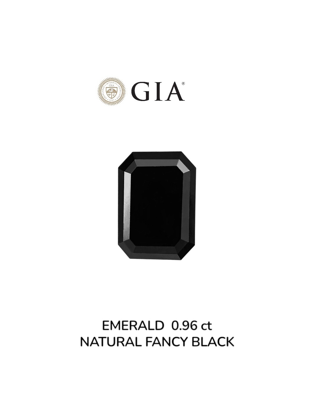 GIA 0.96 Carat Natural Fancy Black Emerald Diamond SE-8973GN