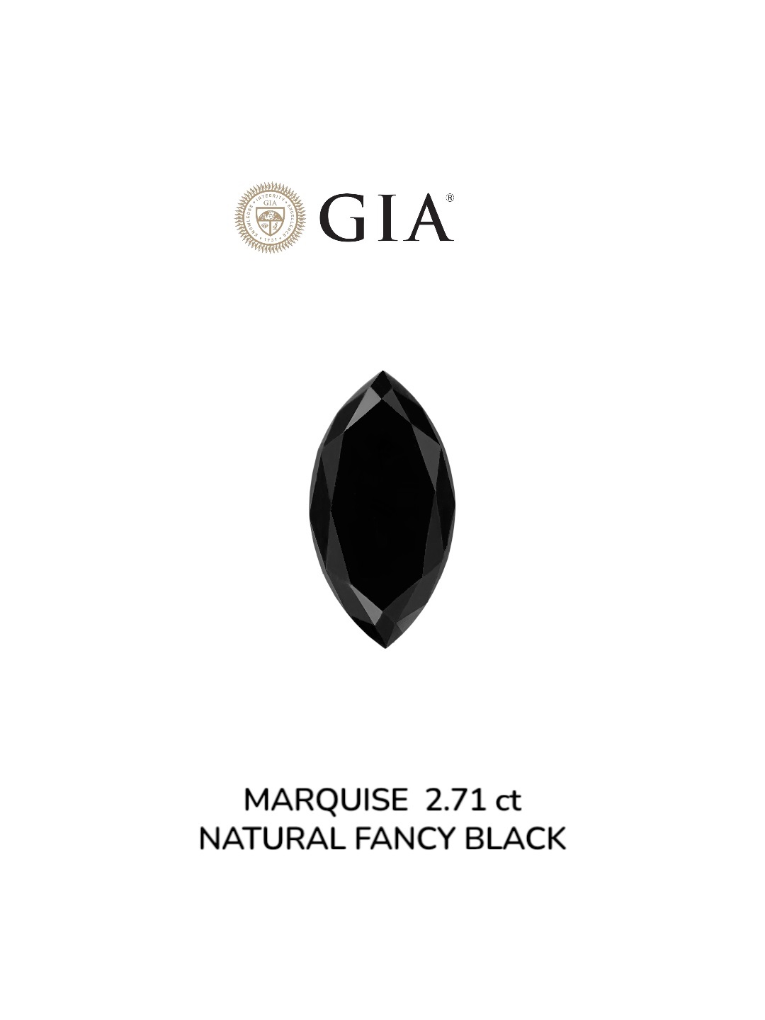 GIA 2.71 Carat Natural Fancy Black Marquise Diamond SE-9019GN